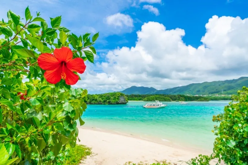 この夏、絶対に体験してほしい!夏休みに沖縄を訪れる魅力と「我が家」で過ごす最高の贅沢